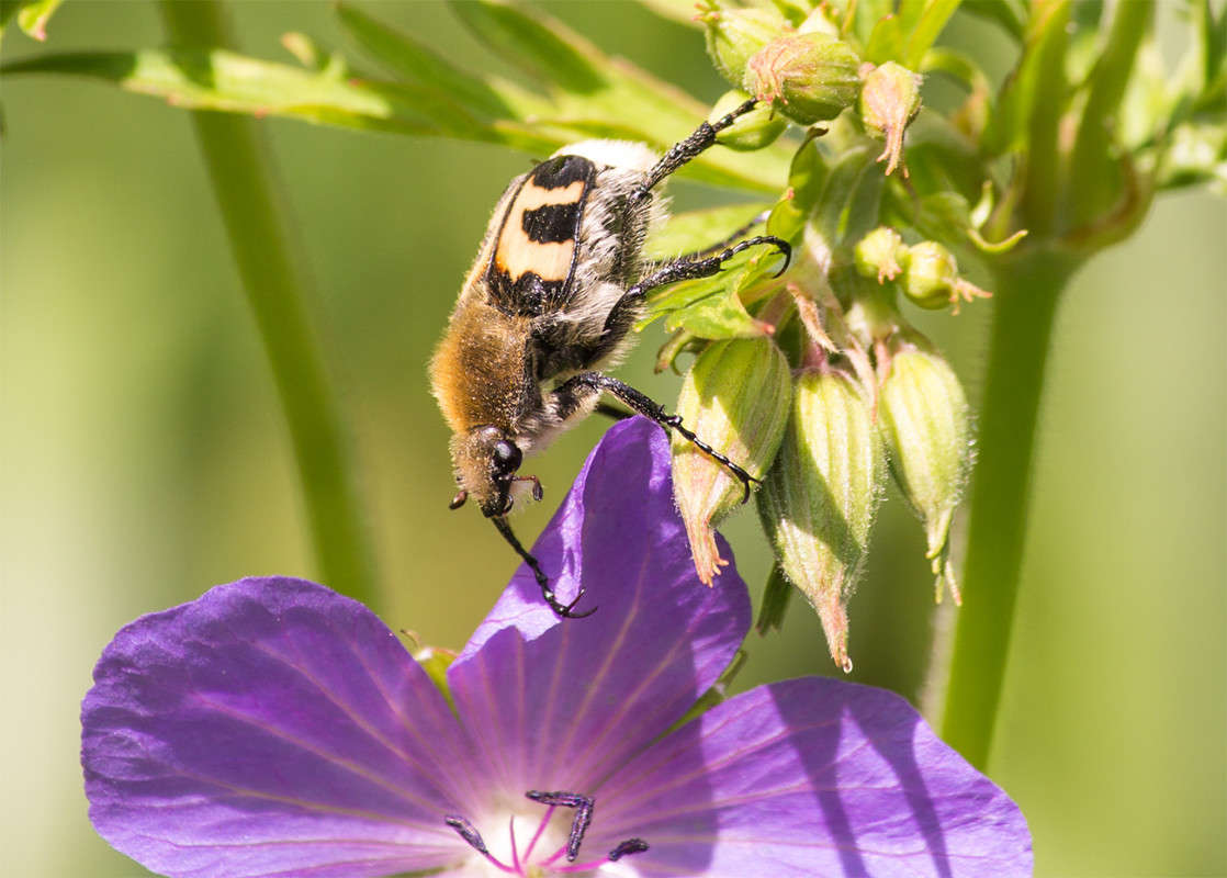 ��� �������� ����� ���������  �� PhotoGeek.ru #����� #�������� ���