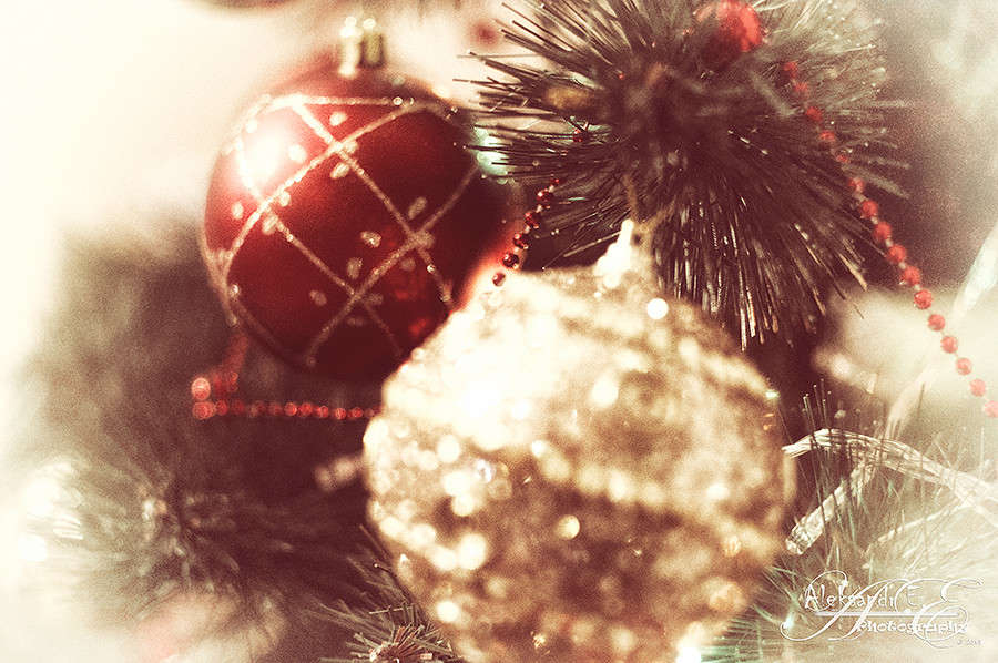 ... ����� Aleksandr  �� PhotoGeek.ru #���������