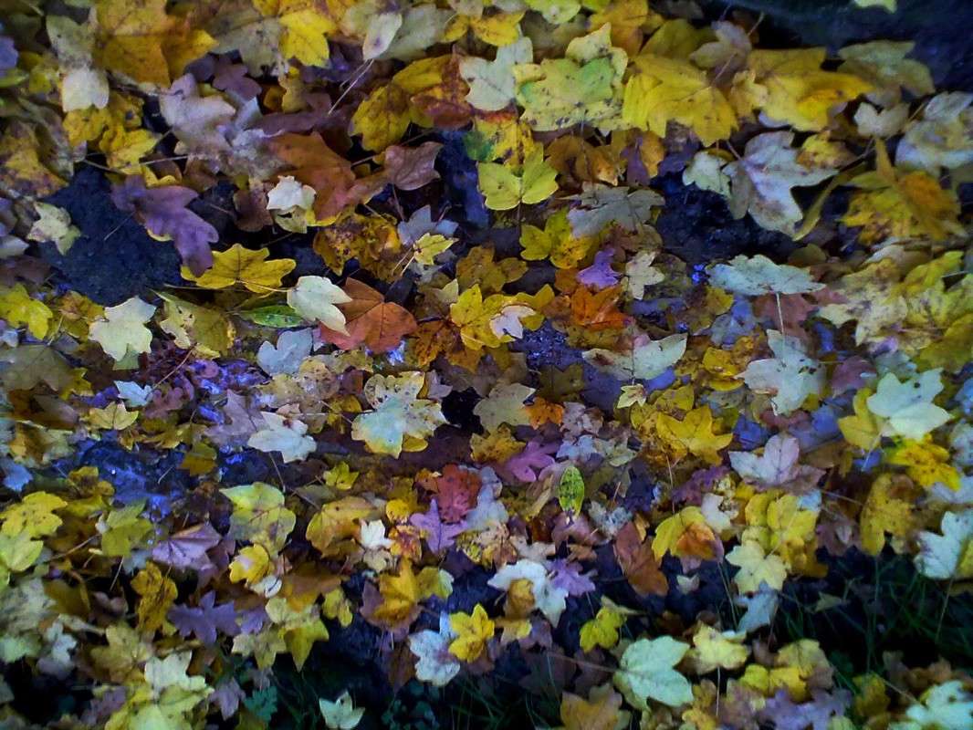 ������� �����. ����� ������ �������� �� PhotoGeek.ru #������ ��� �������