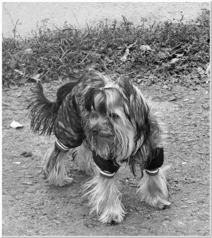 ����������� ������ ����� ������ �������� �� PhotoGeek.ru #�������� ���