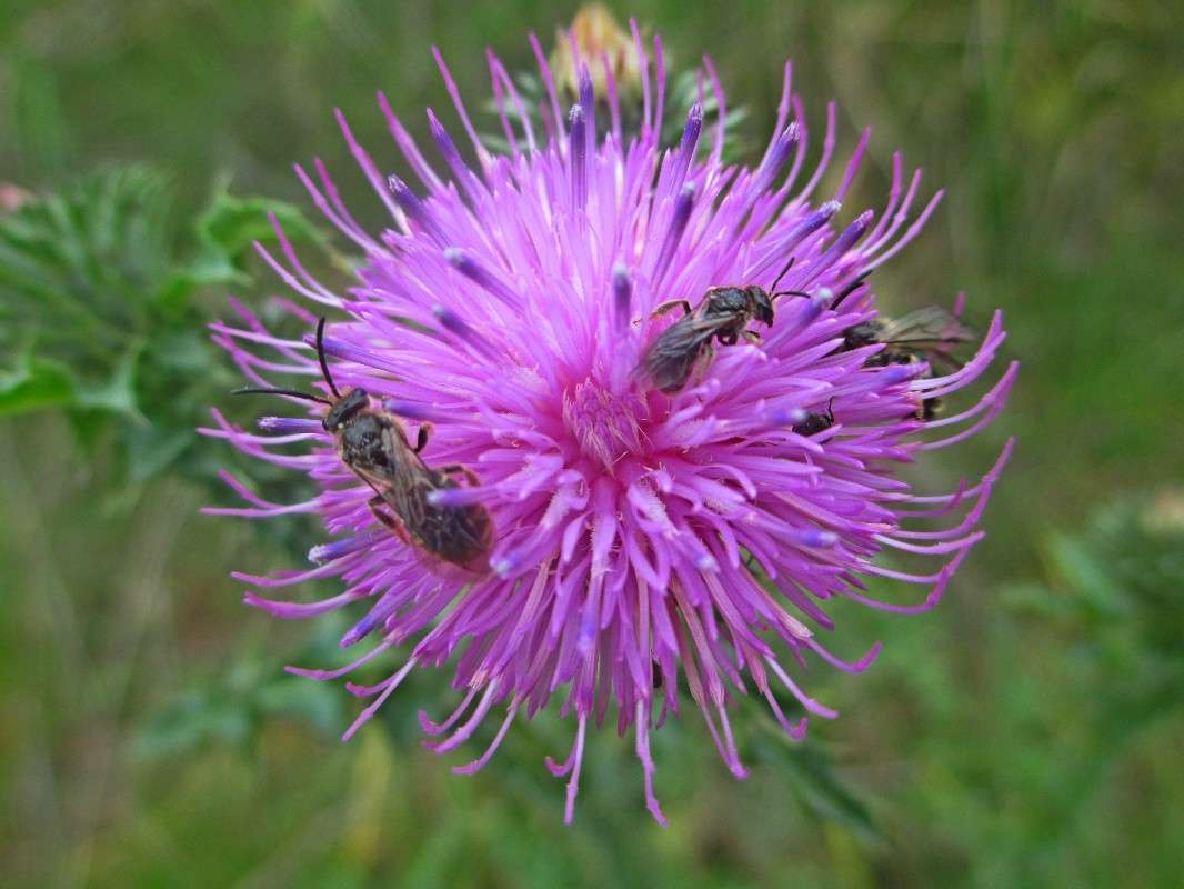 ��������� �� ������. ����� ������ �������� �� PhotoGeek.ru #����� #���������