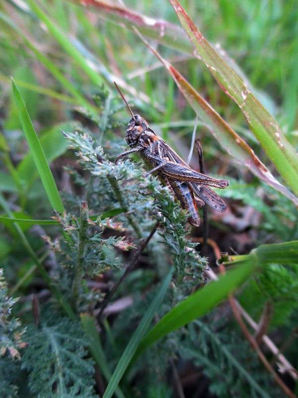 �������� �� ������. ����� ������ �������� �� PhotoGeek.ru #����� #���������