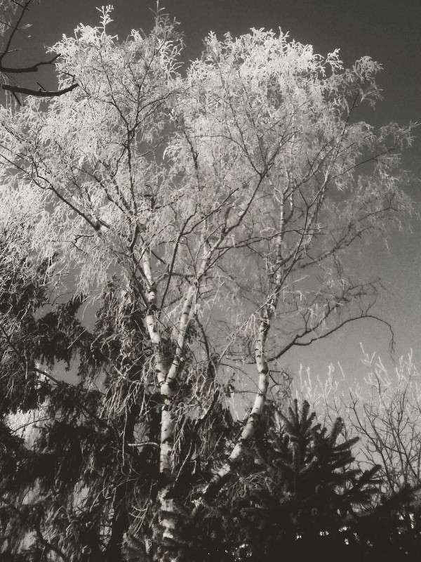 ������� � ����. ����� ������ �������� �� PhotoGeek.ru #������ ��� ������� #�����-�����