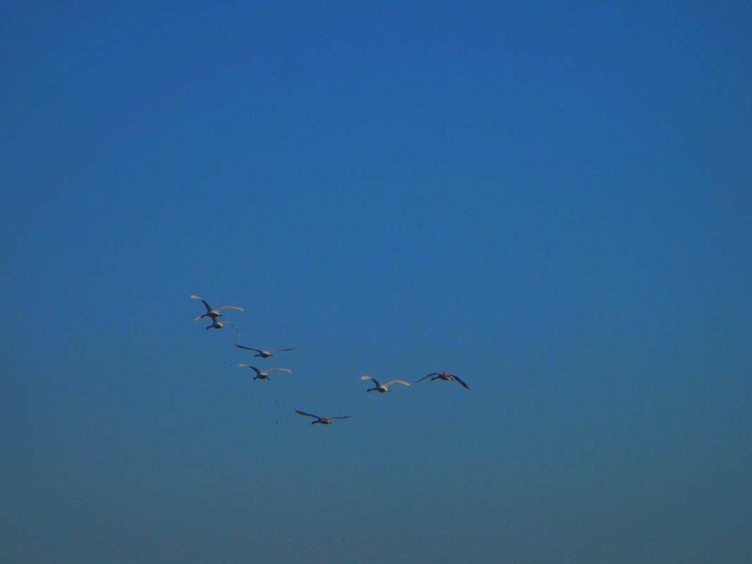 ����� �������. ����� ������ �������� �� PhotoGeek.ru #������ ��� �������