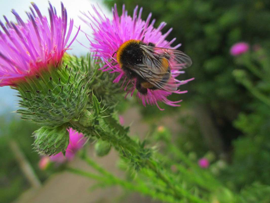 ����� �� ���������. ����� ������ �������� �� PhotoGeek.ru #����� #���������