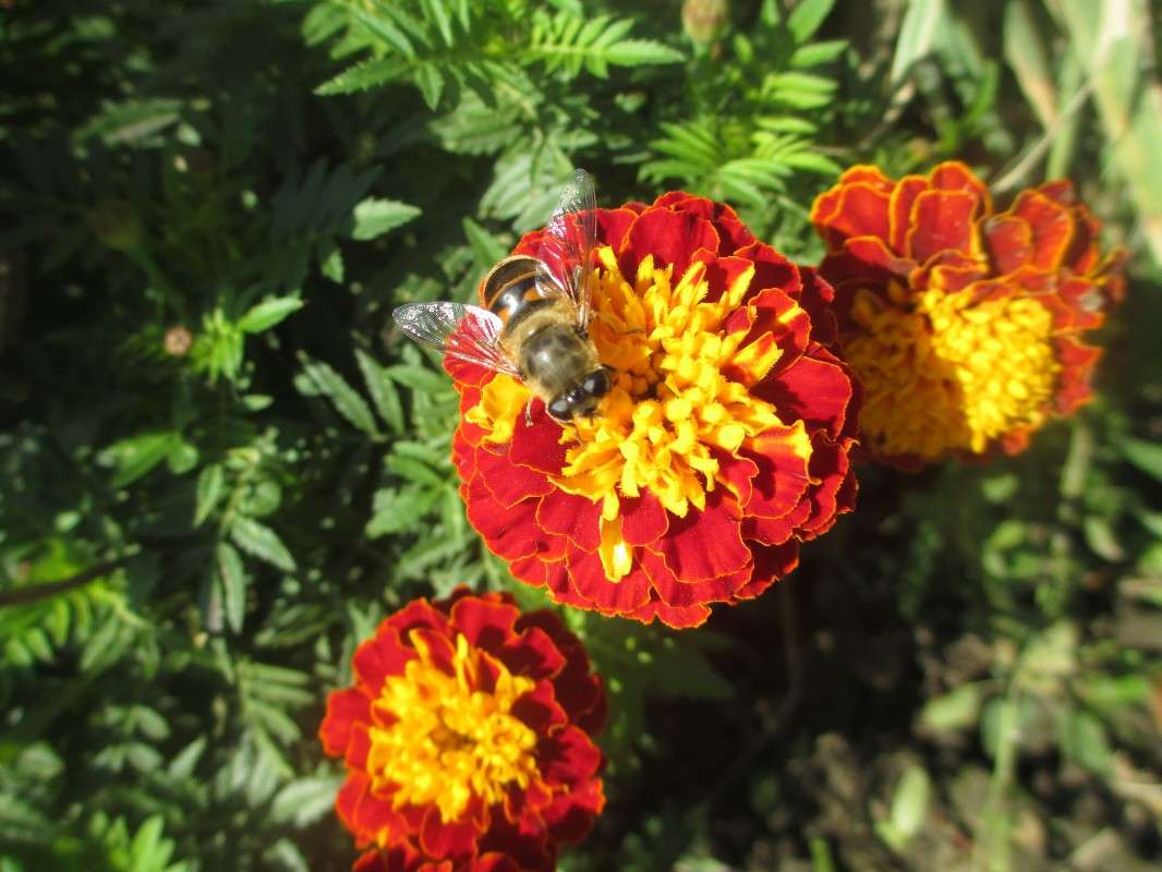 ������ �� ��������. ����� ������ �������� �� PhotoGeek.ru #����� #���������