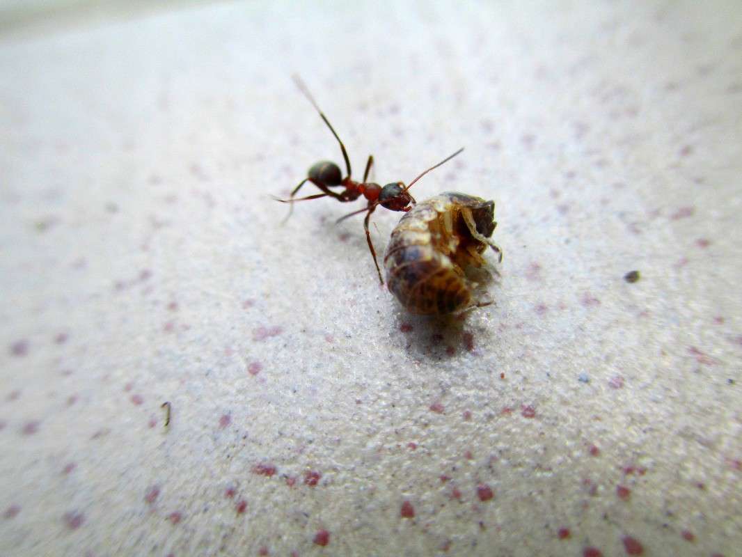 ��� �� ����!!! ����� ������ �������� �� PhotoGeek.ru #����� #���������