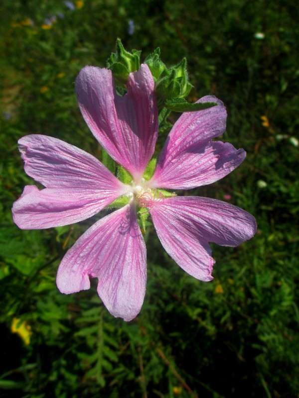 �������� ������!!! ����� ������ �������� �� PhotoGeek.ru #����� #����� �������