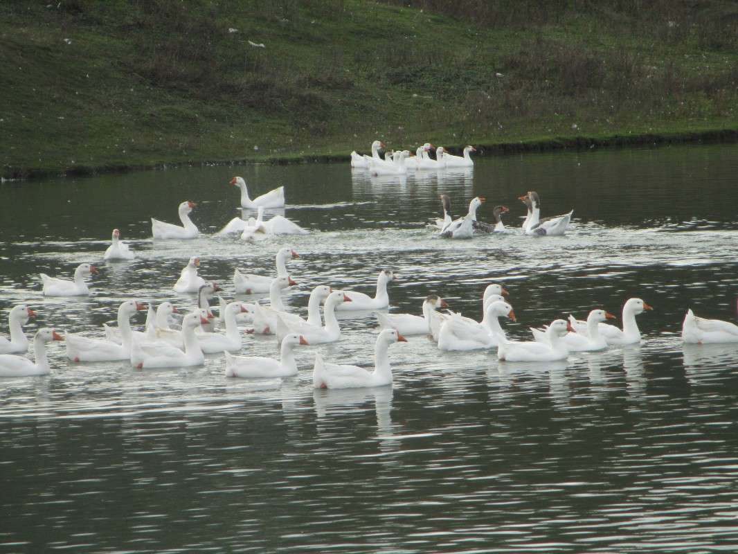 ���� �� �����. ����� ������ �������� �� PhotoGeek.ru #�������� ���