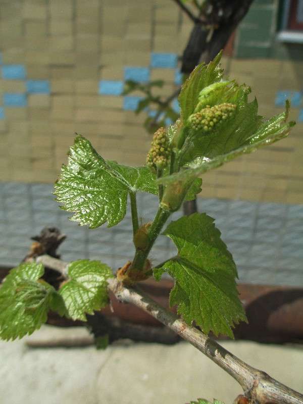 ������ ���������. ����� ������ �������� �� PhotoGeek.ru #������ ��� ������� #����� ��������������