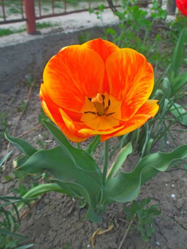 �������. ����� ������ �������� �� PhotoGeek.ru #����� #����� ��������������