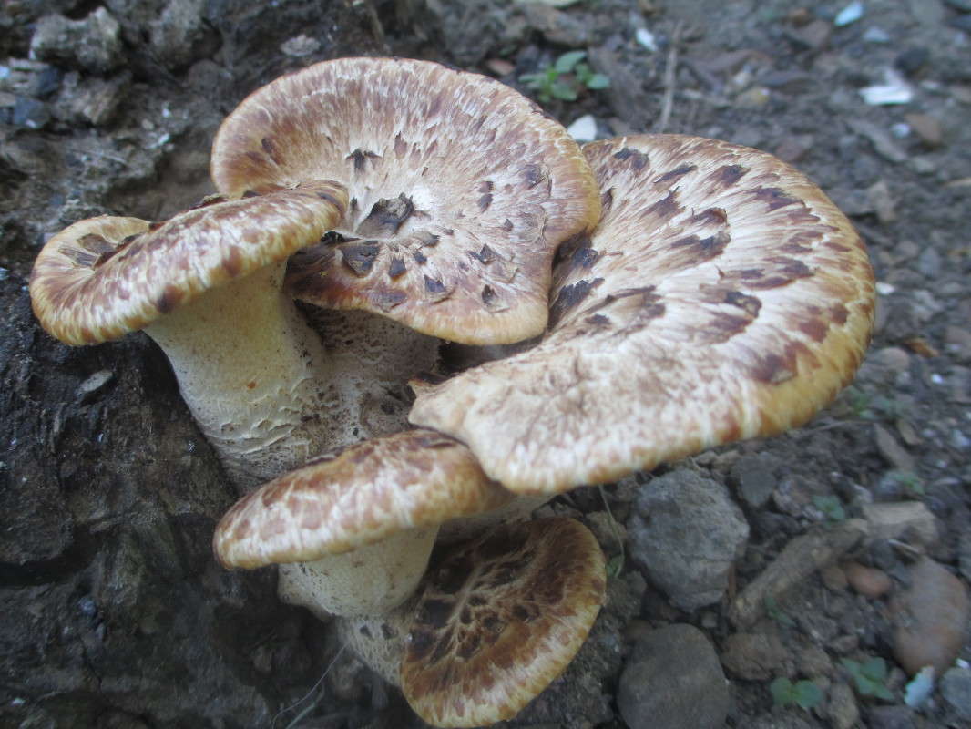 ��������... ����� ������ �������� �� PhotoGeek.ru #������ ��� ������� #����� �������������� #����� ��������