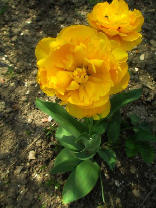 ����������� ��������. ����� ������ �������� �� PhotoGeek.ru #������ ��� ������� #����� ��������������