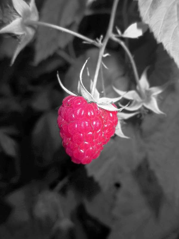 �������... ����� ������ �������� �� PhotoGeek.ru #������ ��� ������� #�����-�����