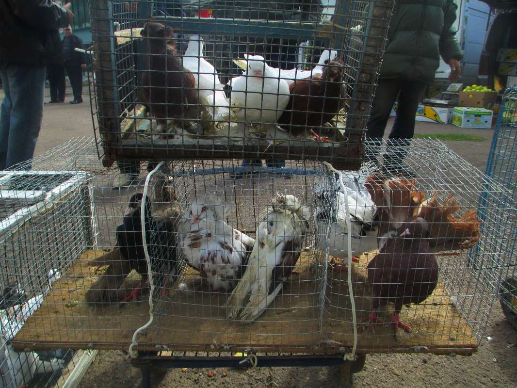 ������ � �������. ����� ������ �������� �� PhotoGeek.ru #�������� ��� #����� �����