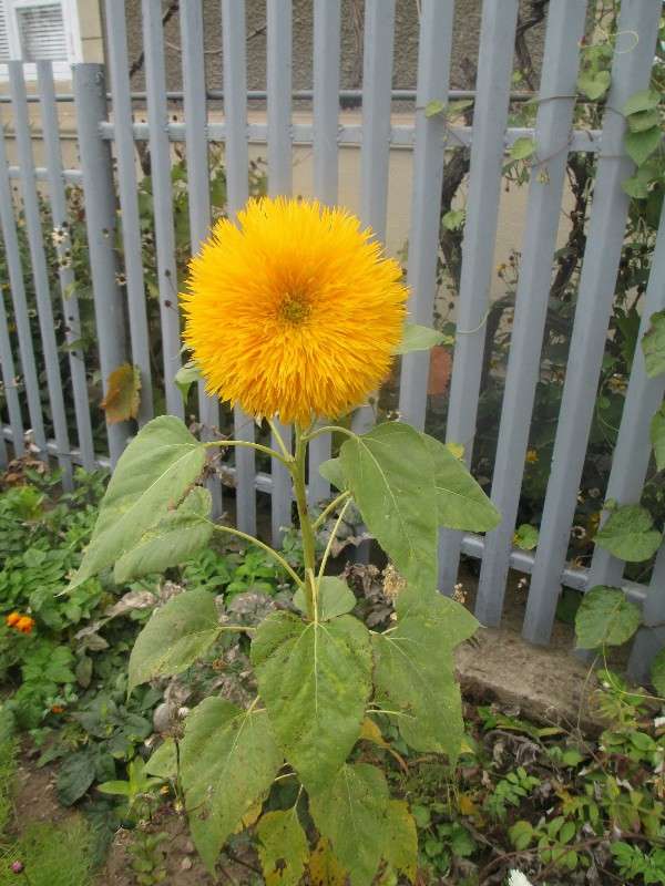 ������������ ���������. ����� ������ �������� �� PhotoGeek.ru #����� ������������