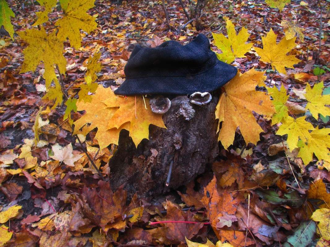 ������ ������... ����� ������ �������� �� PhotoGeek.ru #������ ��� �������