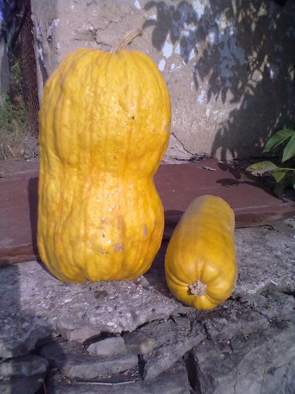 ����� � ���... ����� ������ �������� �� PhotoGeek.ru #������ ����