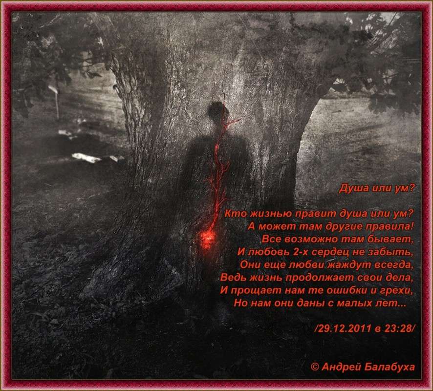 ���� ��� ��? ����� ������ �������� �� PhotoGeek.ru #������ #��� �����