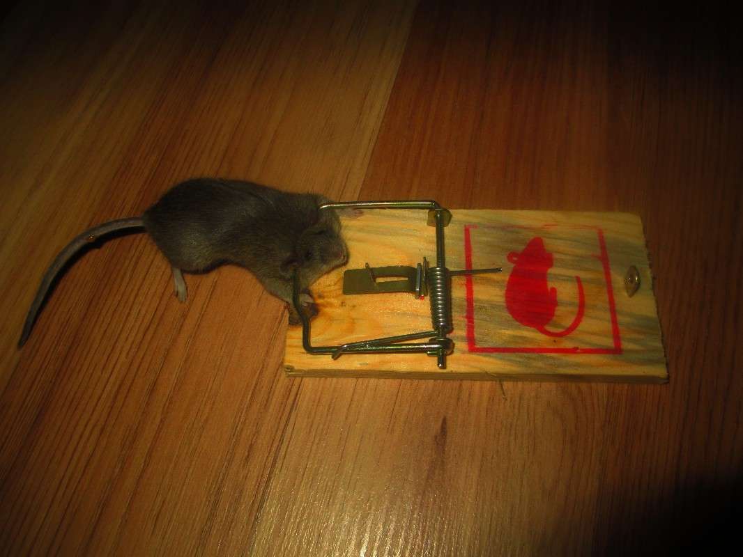 ���������� ��� ������ ������ � ���������. ����� ������ �������� �� PhotoGeek.ru #�������� ���