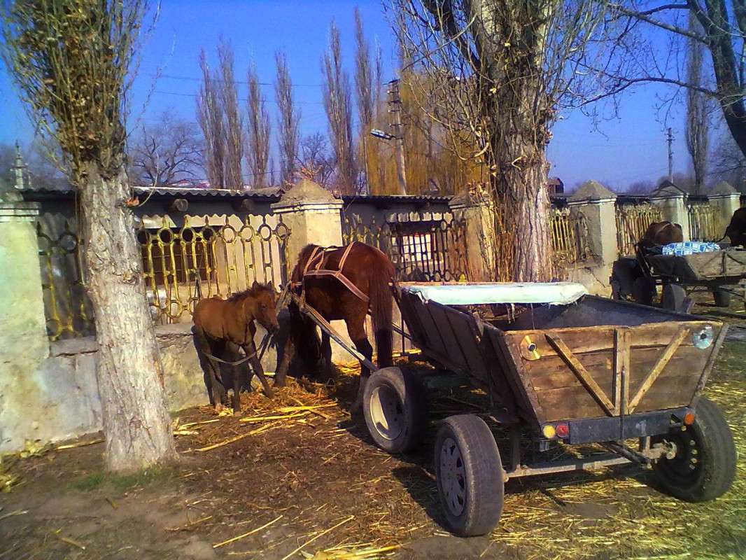 ������� ��� �������. ����� ������ �������� �� PhotoGeek.ru #����� #�������� ��� #��������� ������ #�������� ���