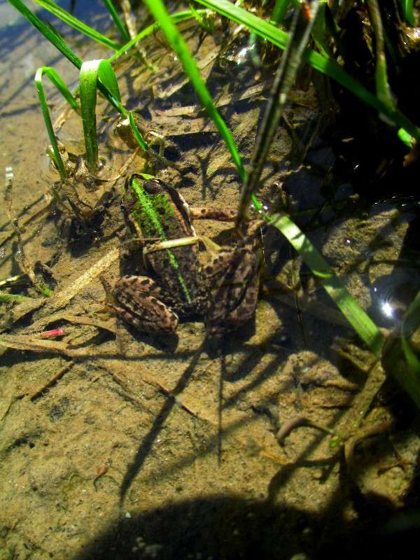 �������. ����� ������ �������� �� PhotoGeek.ru #����� #�������� ��� #����� ��� ��� ���������