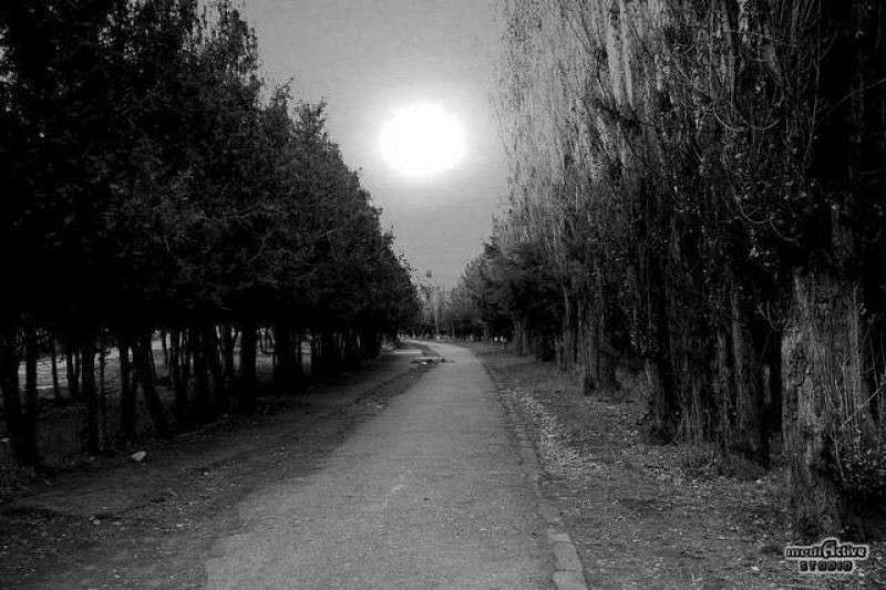 v nashem gorode ����� Armen Ohanyan �� PhotoGeek.ru #������ ��� �������