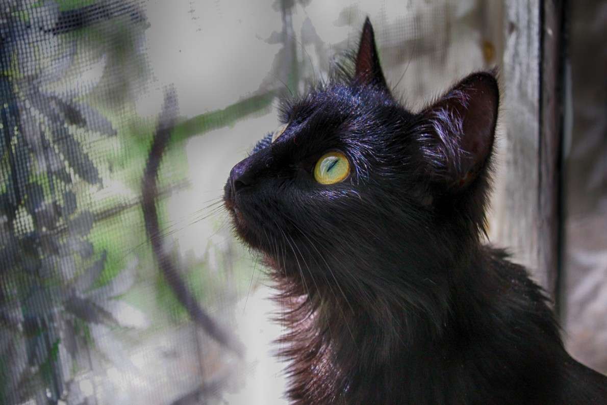 ������ ����� ������� ���������� �� PhotoGeek.ru #�������� ���