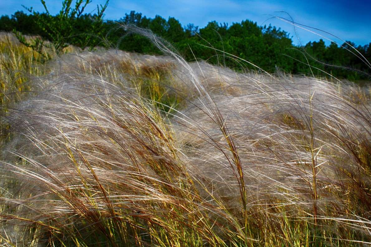 ����� ����� ������� ���������� �� PhotoGeek.ru #������ ��� �������