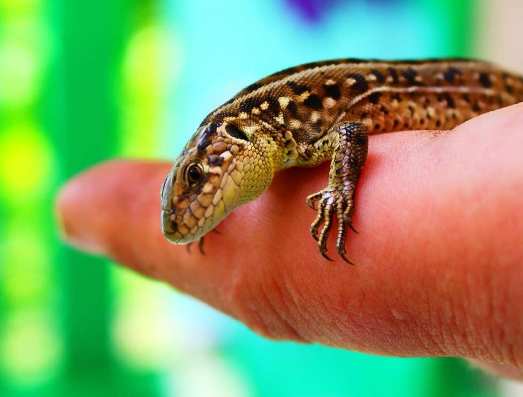 ������ ����� ������� ���������� �� PhotoGeek.ru #�������� ���