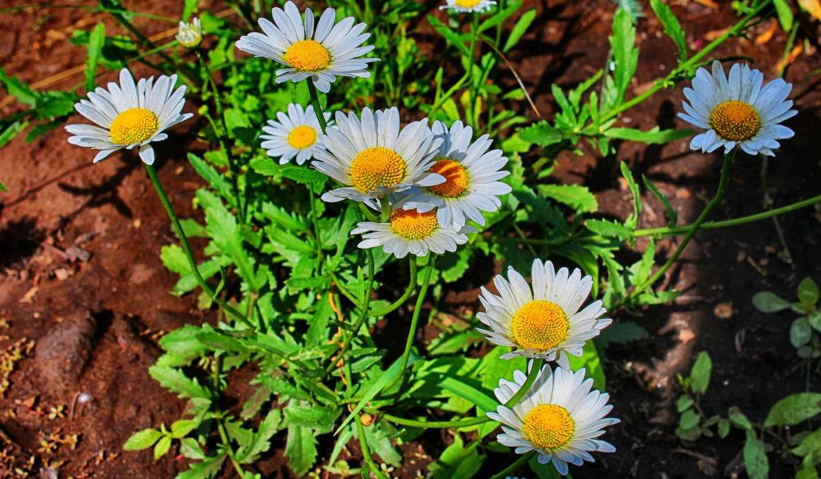 ������� ����� ������� ���������� �� PhotoGeek.ru #������ ��� ������� #����� ��������������