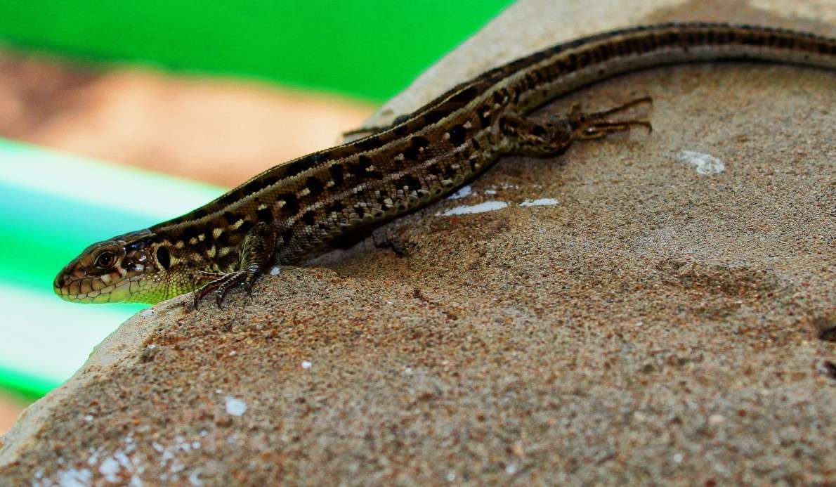 ����� � ��������� !!! ����� ������� ���������� �� PhotoGeek.ru #�������� ��� #����� ��� ��� ���������