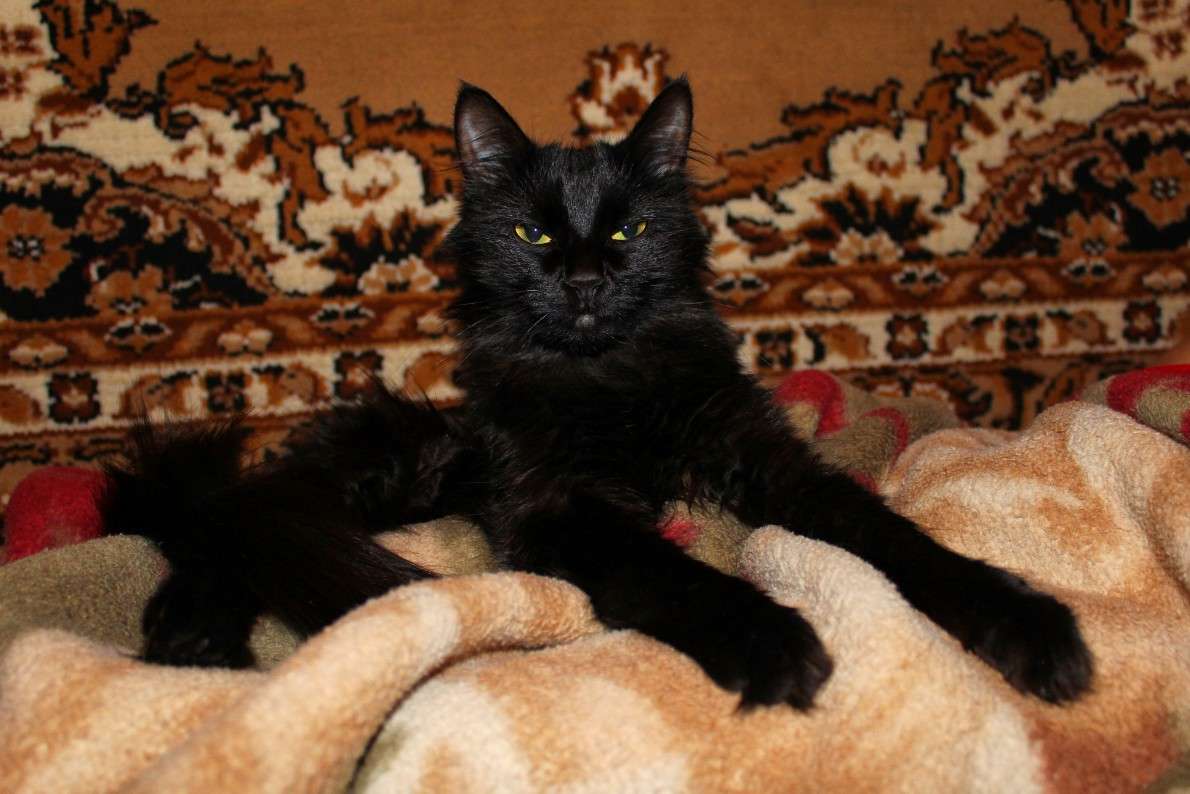 ������� ����� ������� ���������� �� PhotoGeek.ru #�������� ��� #�������