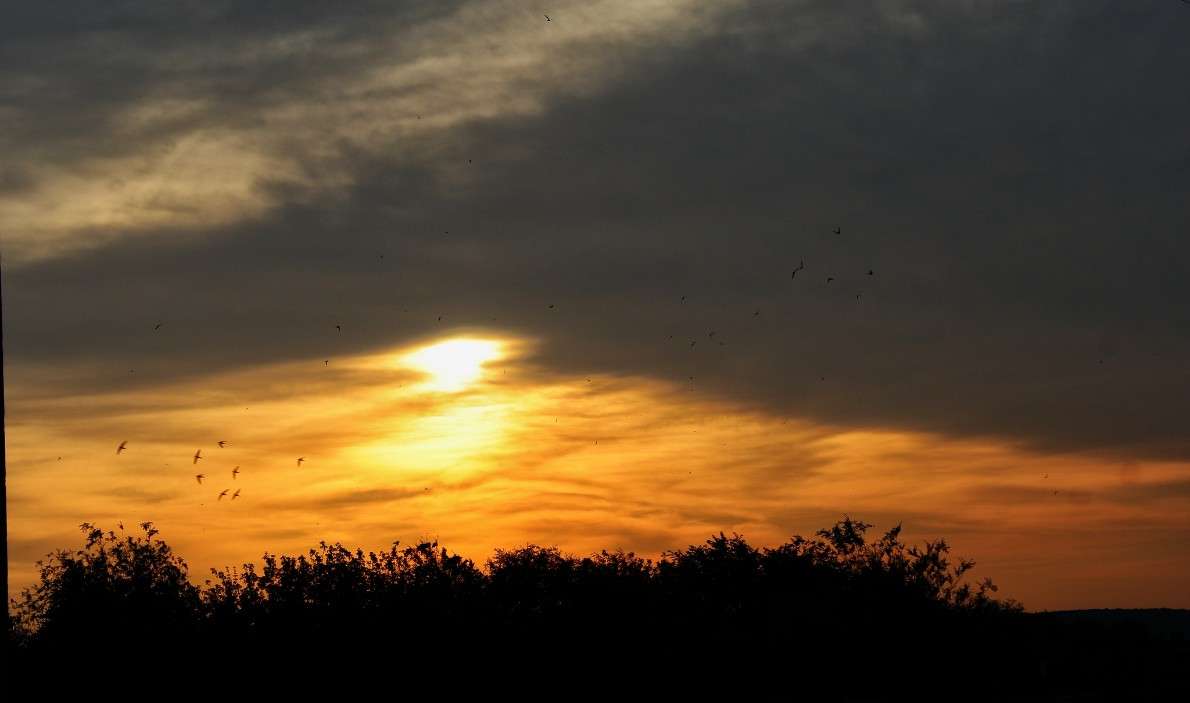 ����� ����� ������� ���������� �� PhotoGeek.ru #�����