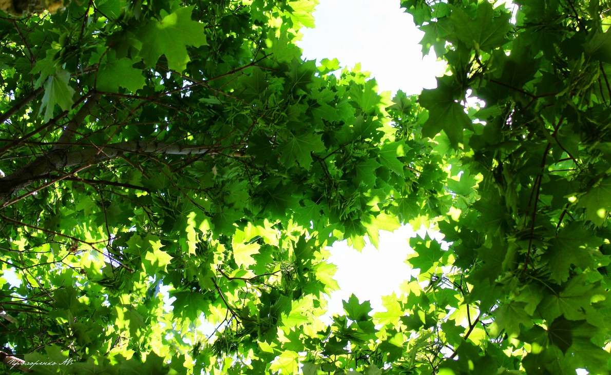 ��� ����� ������� ���������� �� PhotoGeek.ru #������ ��� �������