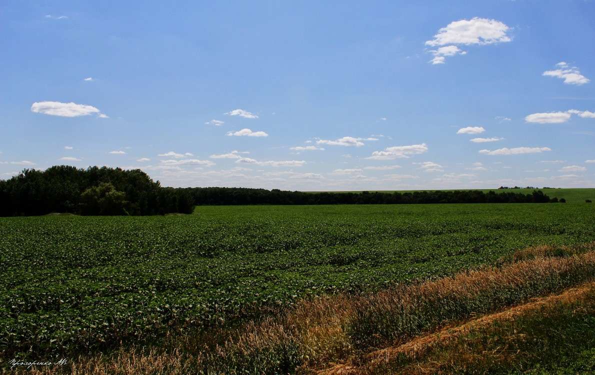 ����� ����� ������� ���������� �� PhotoGeek.ru #������ ��� ������� #����� ��������������