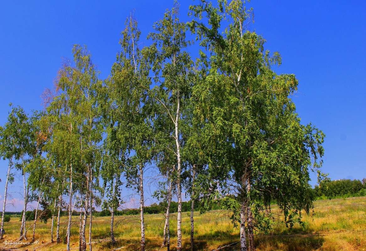 ������ ����� ������� ���������� �� PhotoGeek.ru #������ ��� ������� #����� ��������������