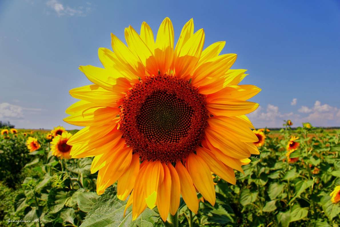 �������� ���� ����� ������� ���������� �� PhotoGeek.ru #������ ��� ������� #����� ��������������