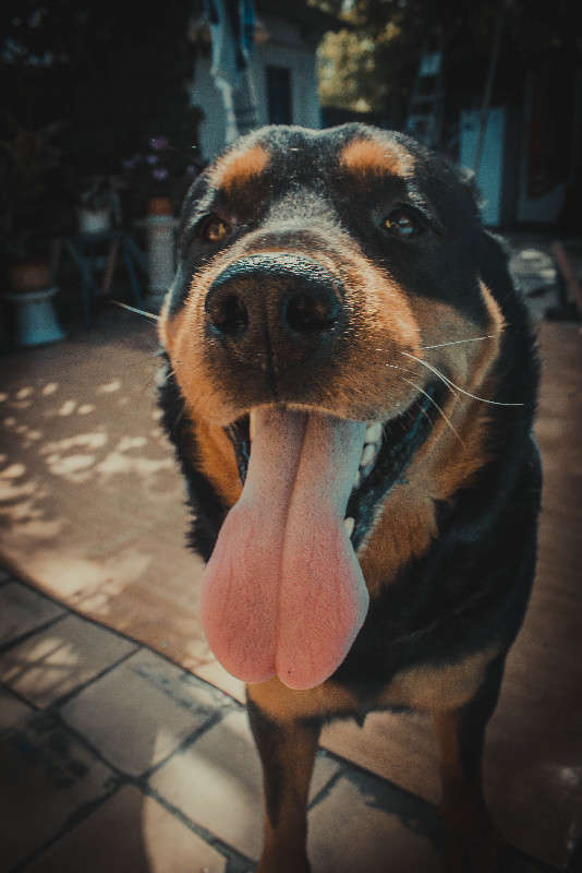 ... ����� ����� ��������� �� PhotoGeek.ru #�������� ��� #�������� ���������� #�������