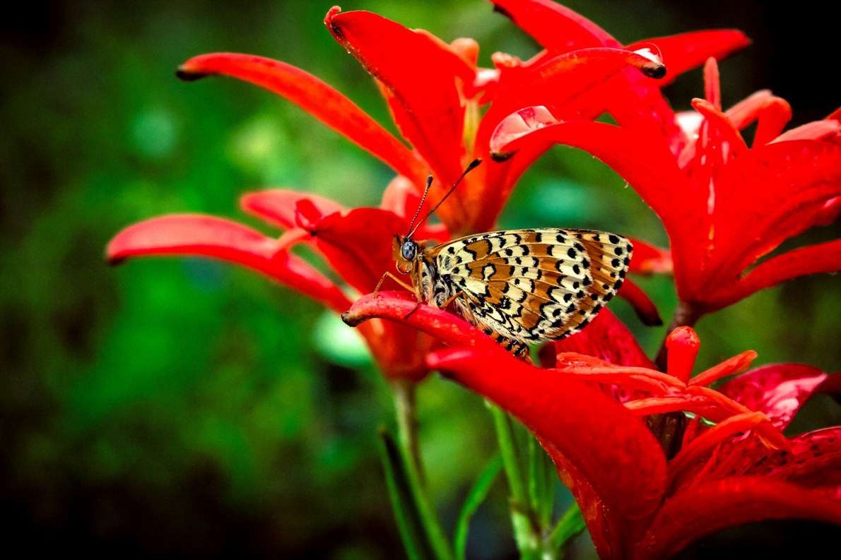 ... ����� ����� ��������� �� PhotoGeek.ru #������ ��� ������� #�������� ����������