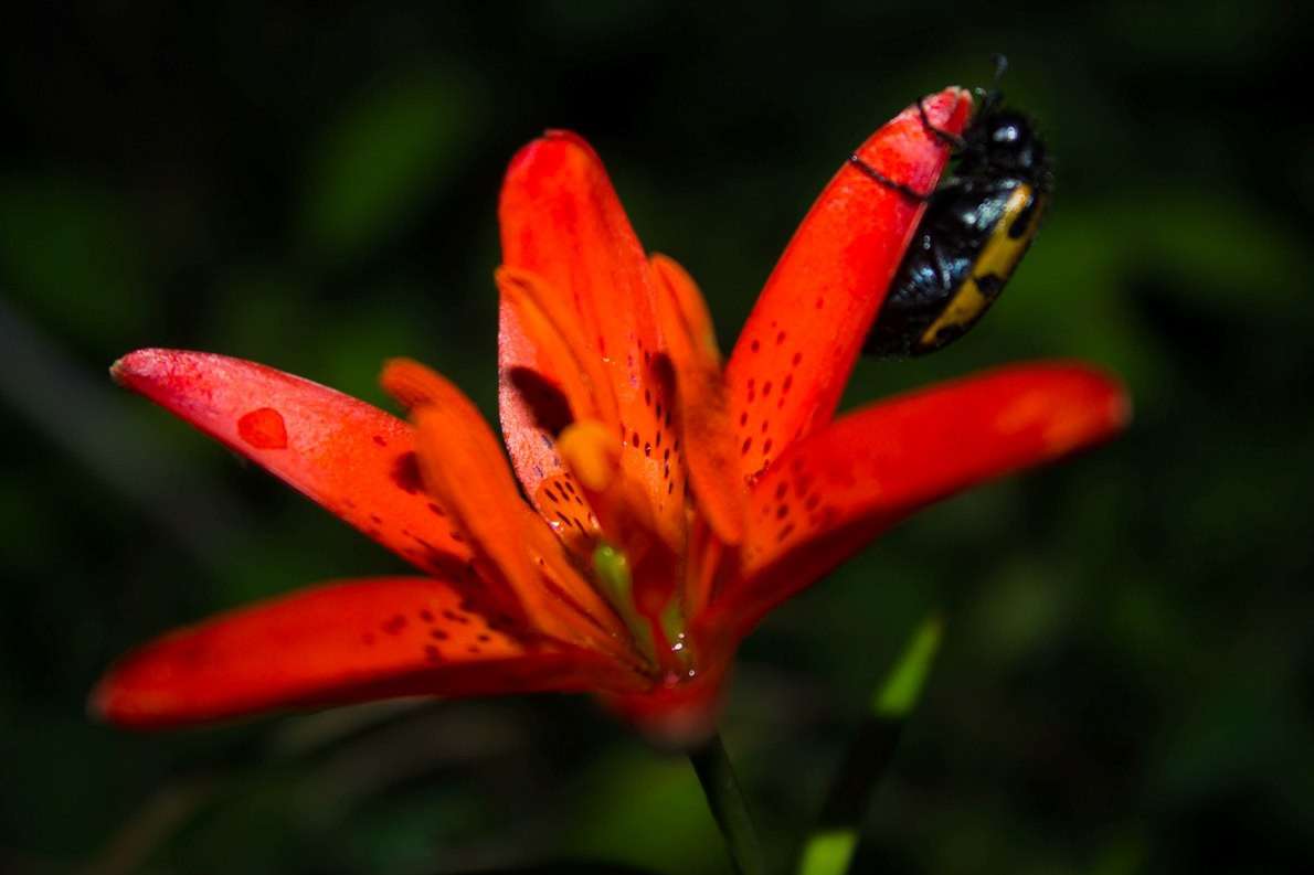 ... ����� ����� ��������� �� PhotoGeek.ru #�������� ��� #������ ��� ������� #�������� ����������