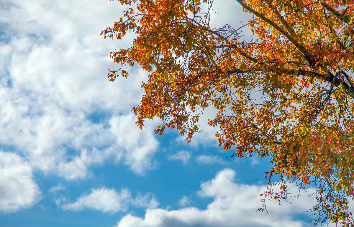 �����.� ����... ����� Alin Petrova �� PhotoGeek.ru #������ ��� ������� #5D Mark II #6 #EF&nbsp;70-300&nbsp;mm&nbsp;f-4-5