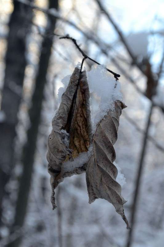 �� ������ ����� ������:) ����� ���� �. �� PhotoGeek.ru #����� #������ ��� �������