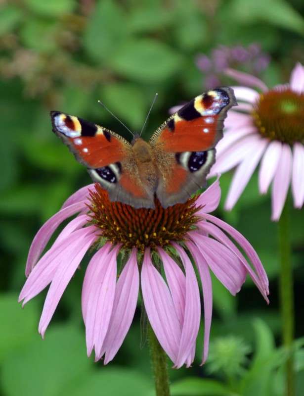 ... ����� ���� �. �� PhotoGeek.ru #�������� ��� #������ ��� �������