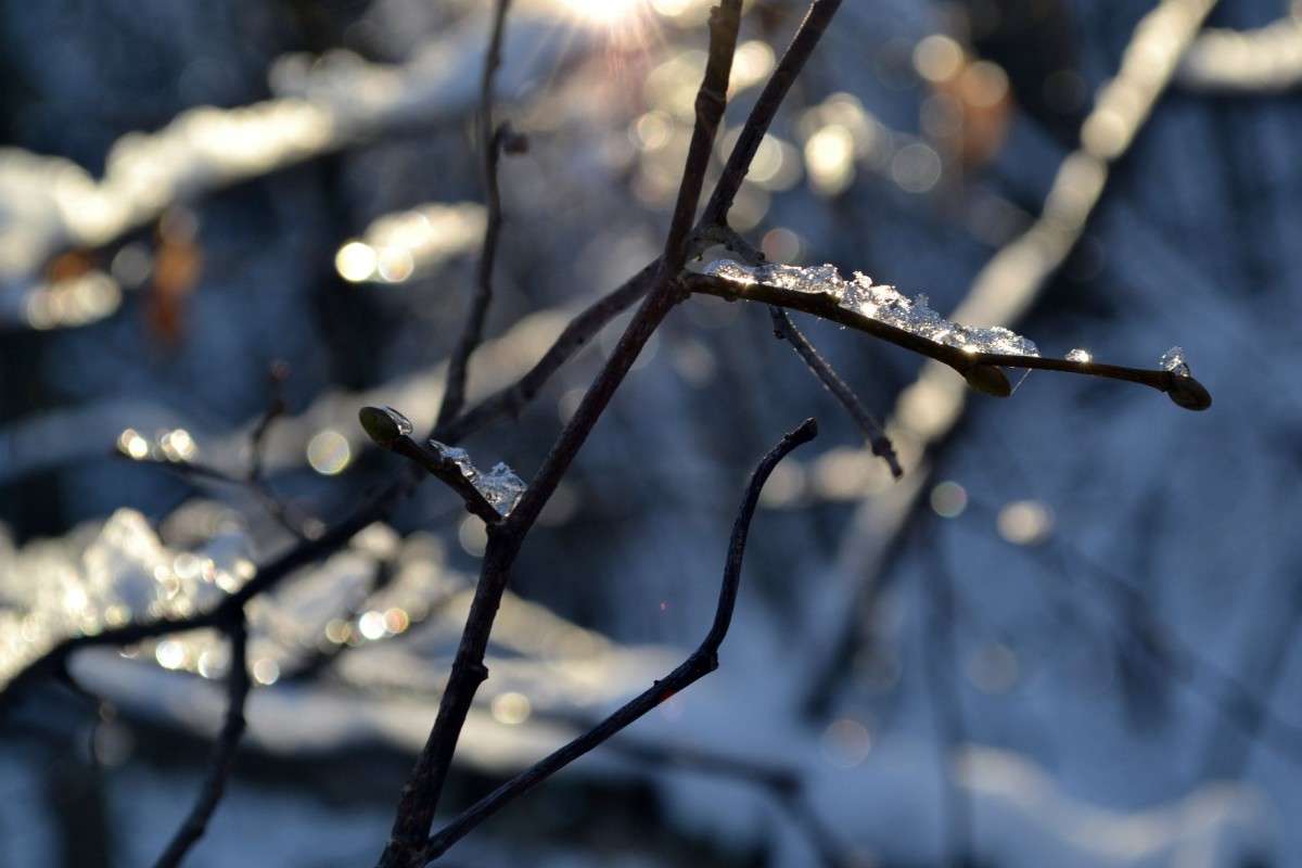 . ����� ���� �. �� PhotoGeek.ru #������ ��� �������