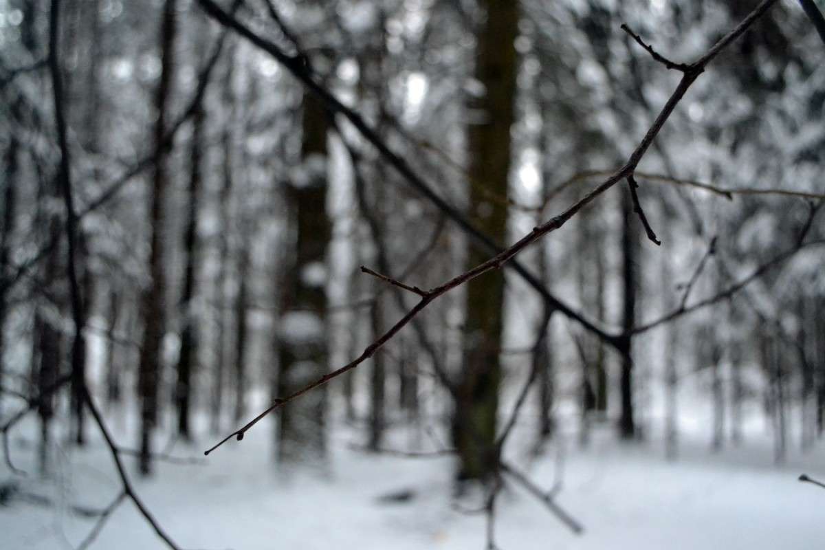 ... ����� ���� �. �� PhotoGeek.ru #������ ��� �������