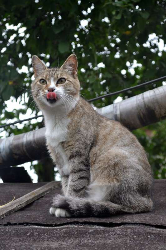 ... ����� ���� �. �� PhotoGeek.ru #�������� ���