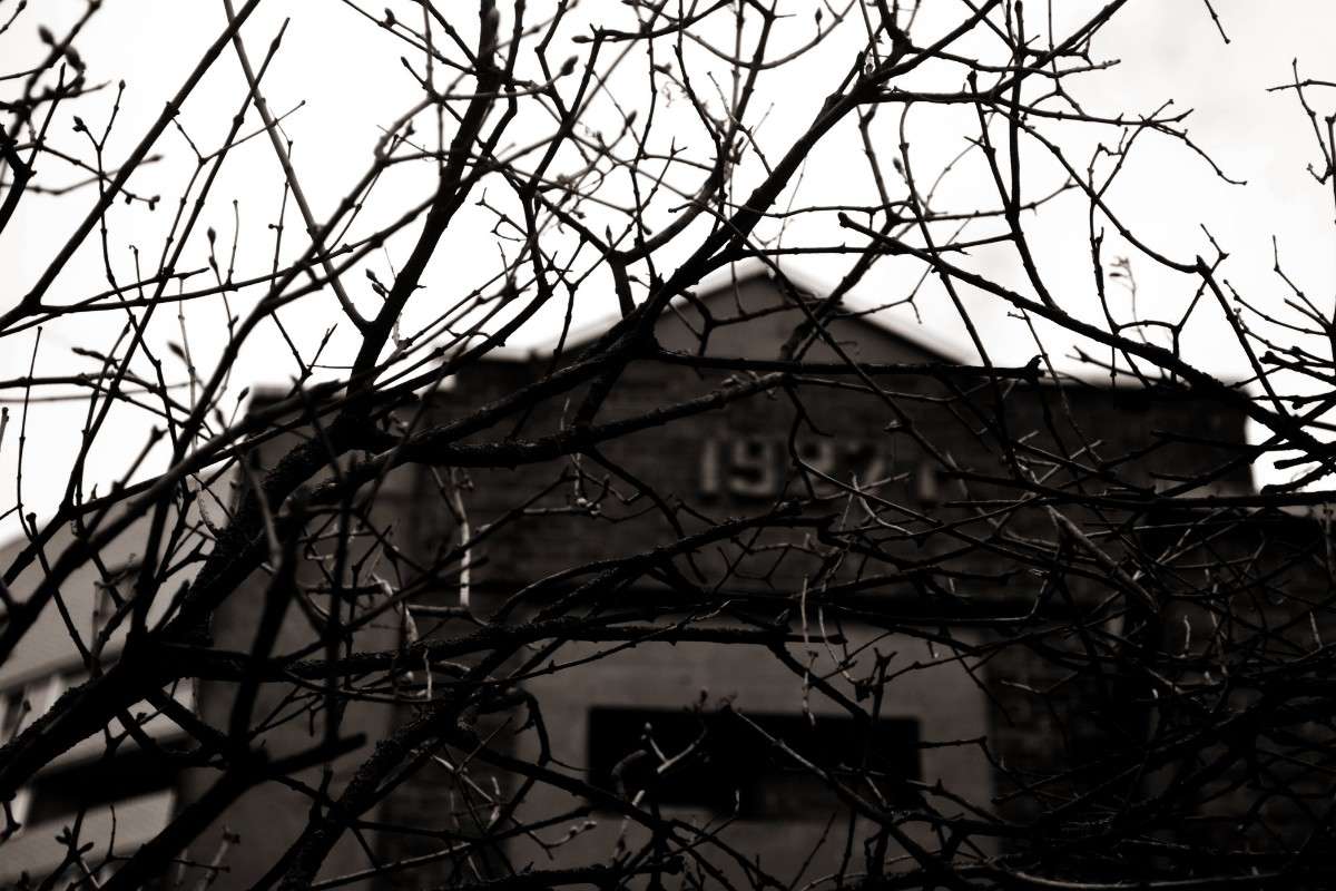 ��������� ��� � ����� ������ ����� ���� �. �� PhotoGeek.ru #�������� ���������� #�����������