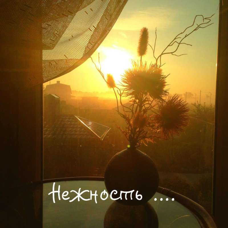 ...     PhotoGeek.ru # 