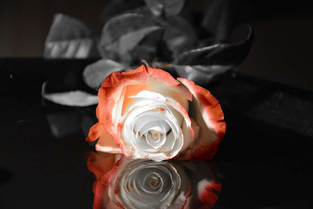 ����. ����� ��������� ������ �� PhotoGeek.ru #��������� #�������������